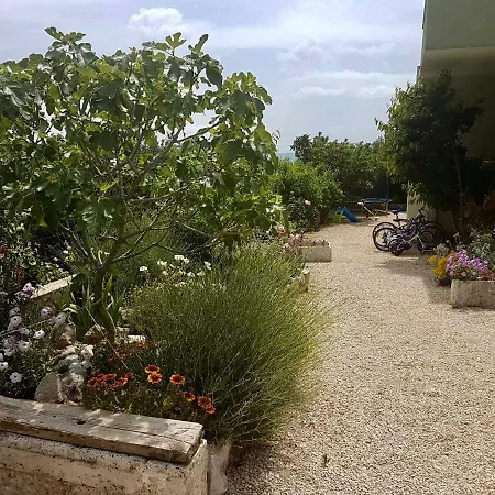 Villa Meri Makarska